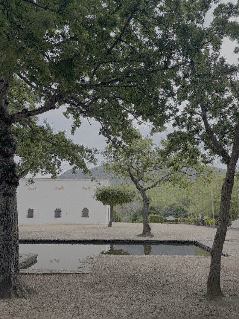Wine estate courtyard in the Cape Winelands
