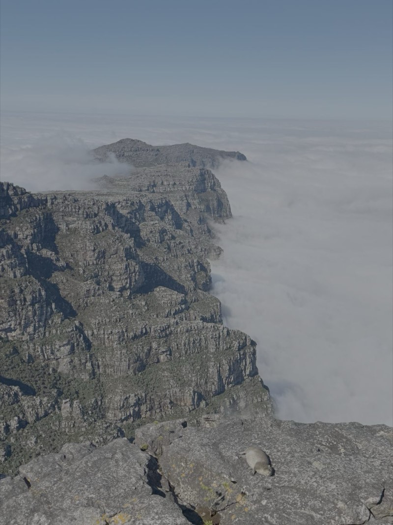 View along the cliffs from the top of Table Mountain